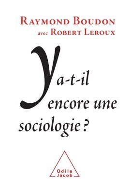 bokomslag Does Sociology Still Exist? / Y a-t-il encore une sociologie ?