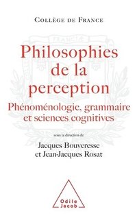 bokomslag Philosophy of Perception