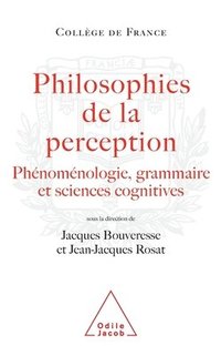 bokomslag Philosophy of Perception: Phenomenology, Grammar and the Cognitive Sciences / Philosophies de la perception: Phénoménologie, grammaire et scienc