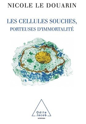 bokomslag Stem Cells For I'mortality / Les Cellules souches, porteuses d'immortalité