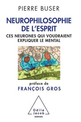 bokomslag Neurophilosophy of the Brain: Neurons That Aspire to Explain the Mind / Neurophilosophie de l'esprit: Ces neurones qui voudraient expliquer le menta