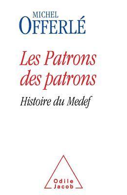 bokomslag A History of France's MEDEF Employers's Association / Les Patrons des patrons: Histoire du Medef