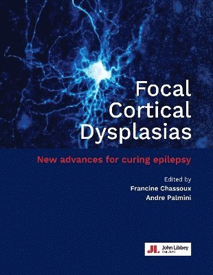 bokomslag Focal Cortical Dysplasias