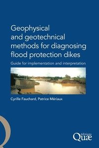 bokomslag Geophysical and Geotechnical Methods for Diagnosing Flood Protection Dikes