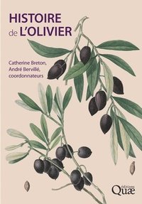 bokomslag Histoire de l'olivier