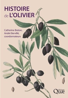 bokomslag Histoire de l'olivier