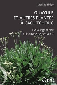 bokomslag Guayule et autres plantes à caoutchouc