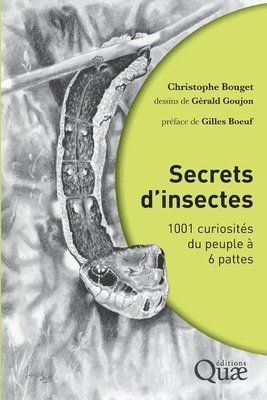 bokomslag Secrets d'insectes