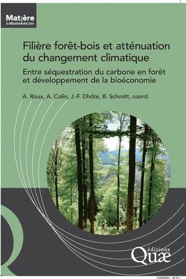 Alice Roux, Antoine Colin, Jean-François Dhôte - Filière forêt-bois et atténuation du changement climatique, Häftad