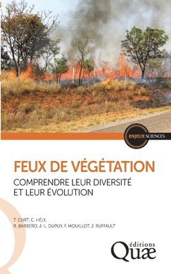 bokomslag Feux de végétation
