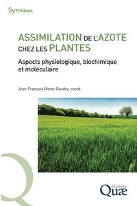 bokomslag Assimilation de l'azote chez les plantes