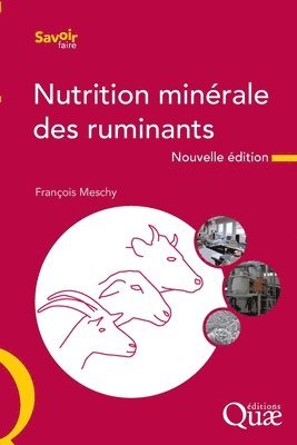 bokomslag Nutrition minrale des ruminants