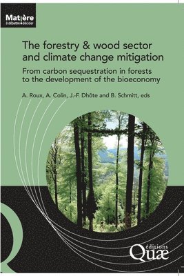 forestry and wood sector and climate change mitigation