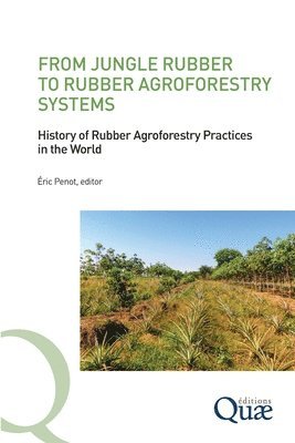 Eric Penot - From Jungle Rubber to Rubber Agroforestry Systems, Häftad