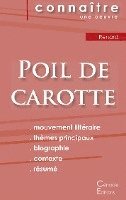 bokomslag Fiche de lecture Poil de carotte de Jules Renard (Analyse litteraire de reference et resume complet)