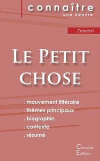 bokomslag Fiche de lecture Le Petit chose de Alphonse Daudet (Analyse litteraire de reference et resume complet)