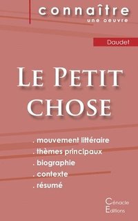 bokomslag Fiche de lecture Le Petit chose de Alphonse Daudet (Analyse littéraire de référence et résumé complet)