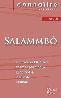 bokomslag Fiche de lecture Salammbo de Flaubert (Analyse litteraire de reference et resume complet)