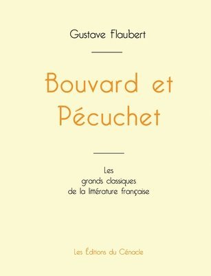 bokomslag Bouvard et Pécuchet de Gustave Flaubert (édition grand format)
