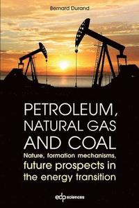 bokomslag Petroleum, natural gas and coal