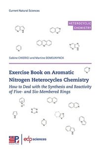 bokomslag Exercise Book on Aromatic Nitrogen Heterocycles Chemistry