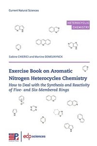 bokomslag Exercise Book on Aromatic Nitrogen Heterocycles Chemistry