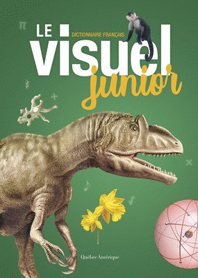 Le Visuel Junior: Dictionnaire Français 1