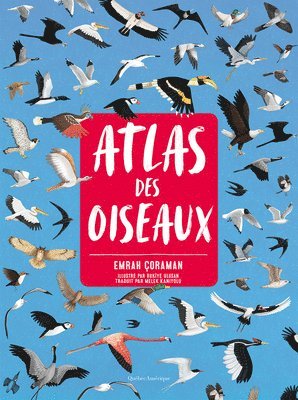 bokomslag Atlas Des Oiseaux