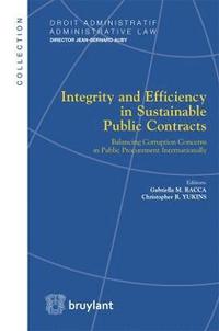 bokomslag Integrity and Efficiency in Sustainable Public Contracts