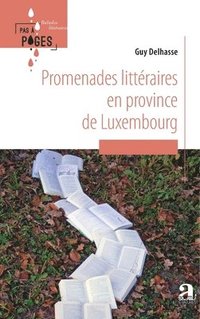 bokomslag Promenades littéraires en province de Luxembourg
