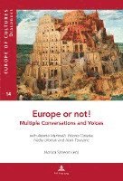 Europe or Not! Multiple Conversations and Voices 1