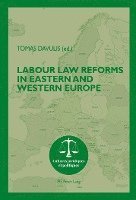 bokomslag Labour Law Reforms in Eastern and Western Europe