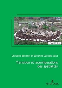 bokomslag Transition Et Reconfiguration Des Spatialits