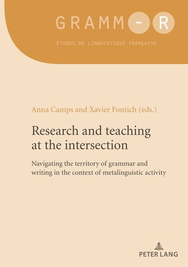 bokomslag Research and teaching at the intersection