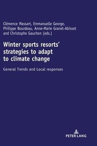 bokomslag Winter sports resorts strategies to adapt to climate change