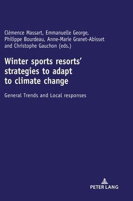 bokomslag Winter sports resorts' strategies to adapt to climate change