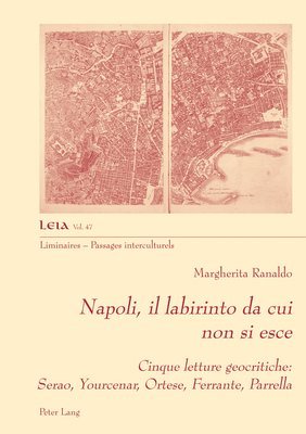 bokomslag Napoli, il labirinto da cui non si esce