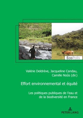 Valérie Deldrève, Jacqueline Candau, Camille Noûs - Effort environnemental et équité, Häftad