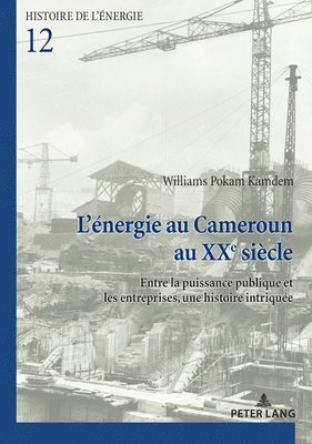 bokomslag L'nergie au Cameroun au XXe sicle