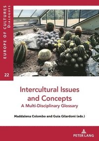 bokomslag Intercultural Issues and Concepts
