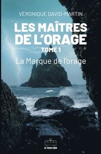 bokomslag Les Maîtres de l'orage - Tome 1