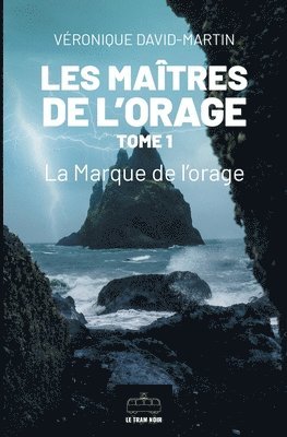 bokomslag Les Maîtres de l'orage - Tome 1