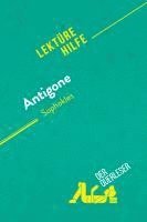 Valérie Nigdélian-Fabre, derQuerleser - Antigone von Sophokles (Lektürehilfe), Häftad