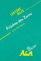 Natacha Cerf, derQuerleser - Früchte des Zorns von John Steinbeck (Lektürehilfe), Häftad
