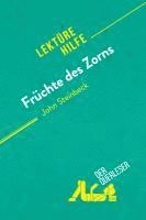 bokomslag Früchte des Zorns von John Steinbeck (Lektürehilfe)