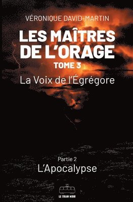 bokomslag Les Matres de l'orage - Tome 3