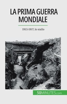 Prima guerra mondiale (Volume 2)