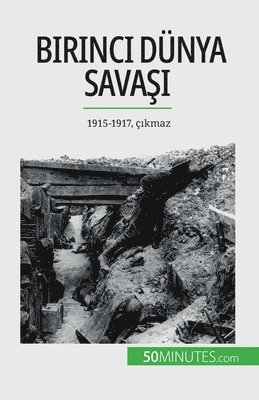 bokomslag Birinci Dünya Sava?? (Cilt 2)