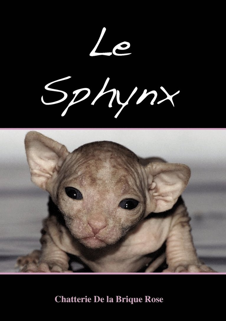 Le sphynx 1