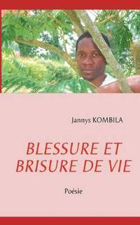 bokomslag Blessure Et Brisure de Vie